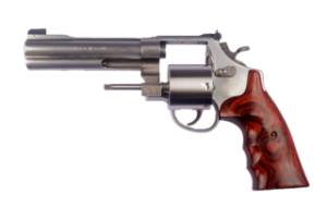 the gun against my temple - r c peris